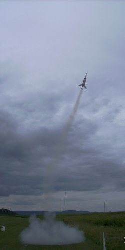 2013 Suche 29062013 Olivera